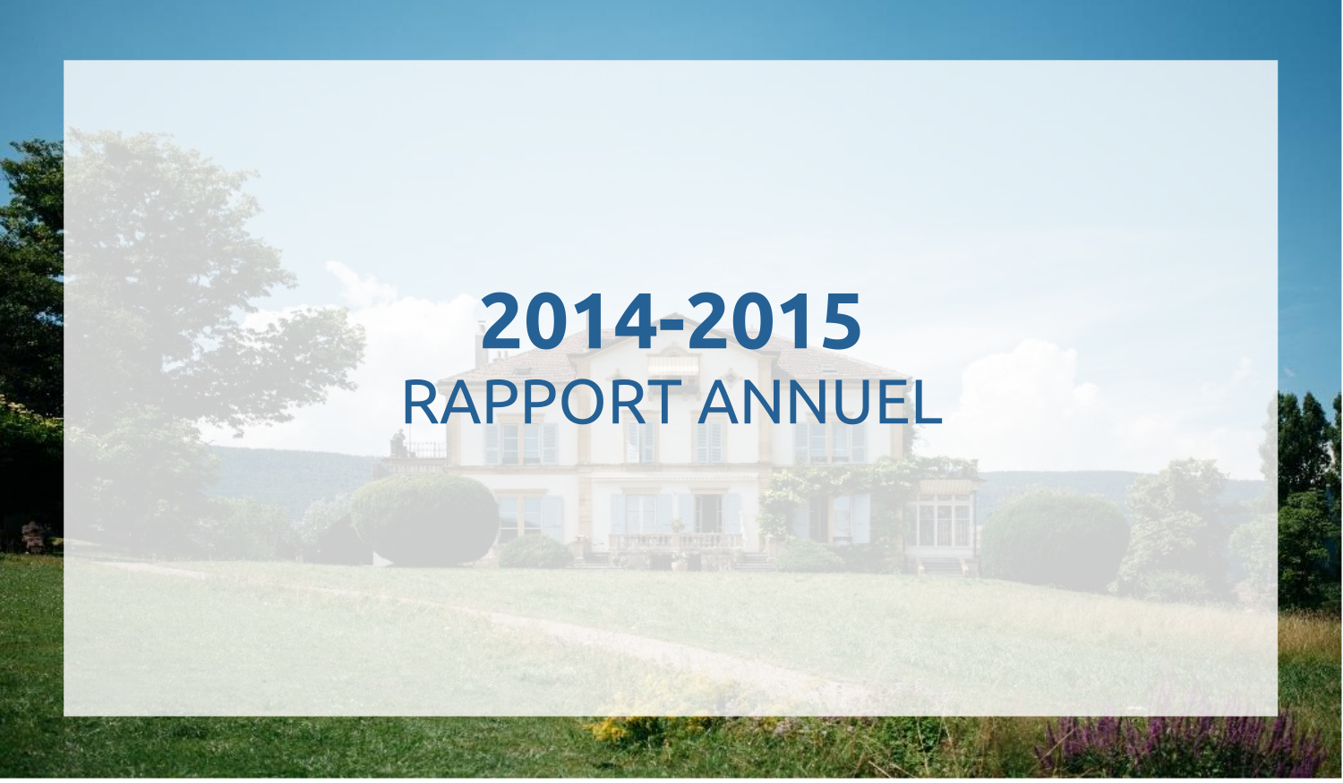 Rapport annuel 2014-2015_PerspectivePlus 2