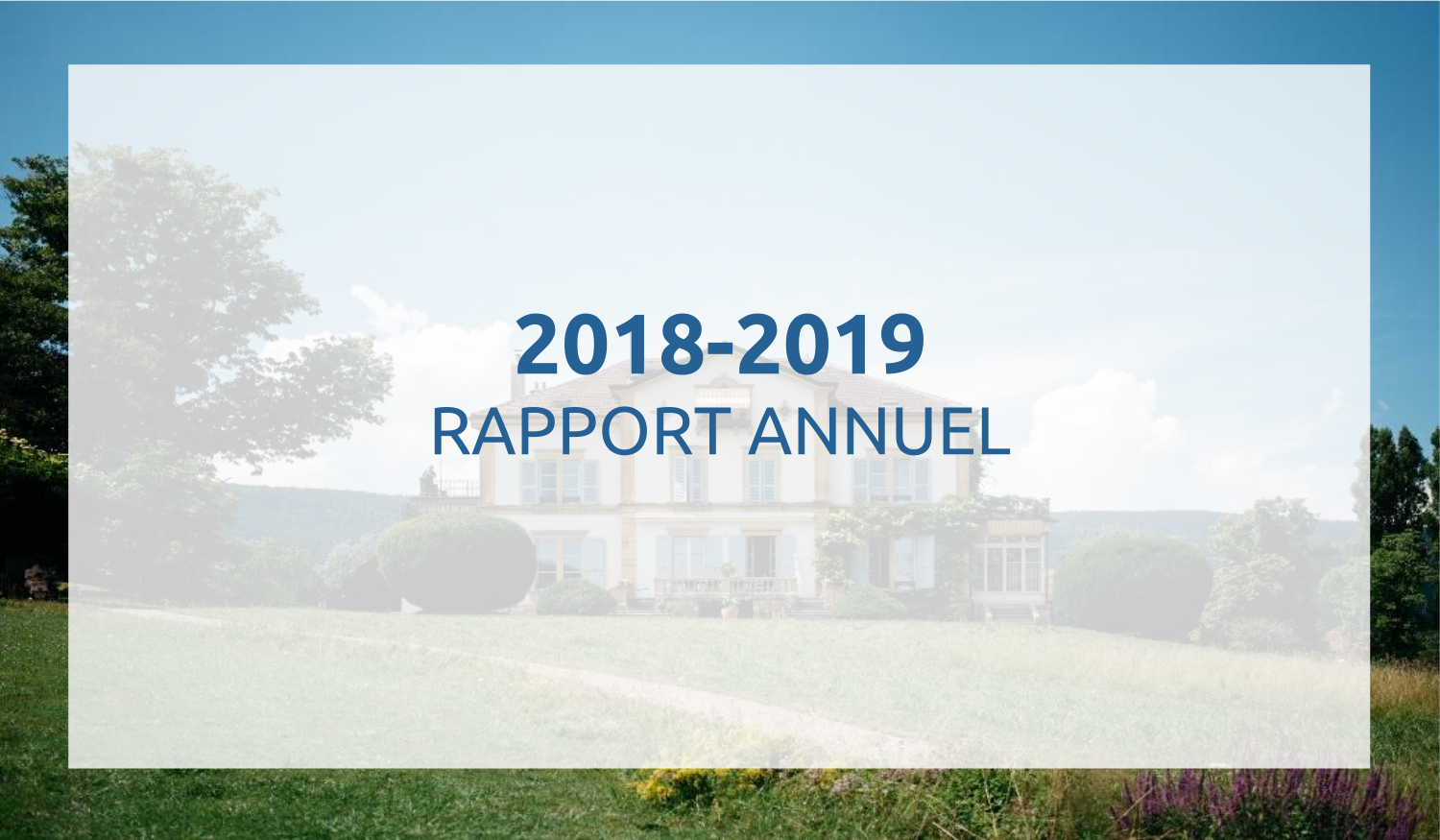 Rapport annuel 2018-2019_PerspectivePlus 6